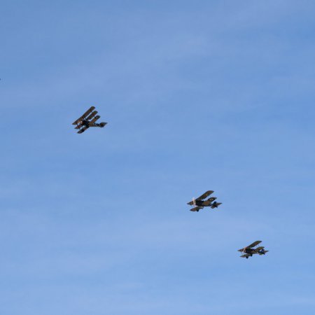 ANZAC 2010 John Freedman TVAL 2437