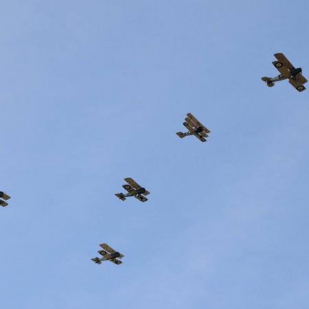 ANZAC 2010 John Freedman TVAL 2451